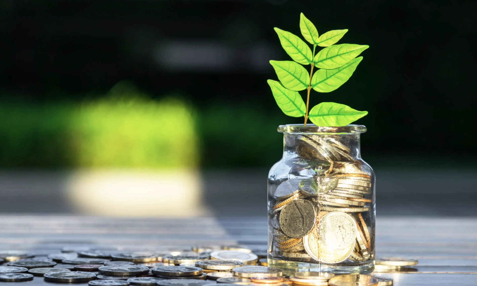 megtakarítás amikor a pénzed növekszik