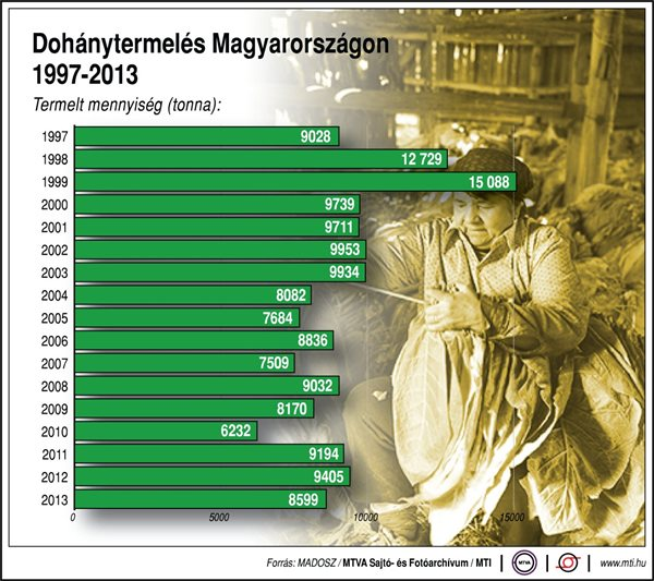 dohánytermelés Magyarországon