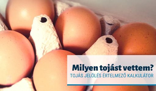 tojás kódok kalkulátor szamoldki.hu
