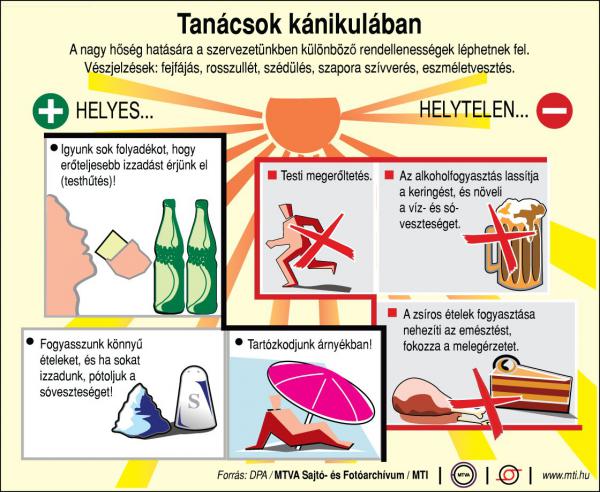 Itt a kánikula! Mit tegyek?