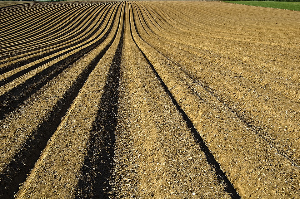 Megszűnt az aszály, folytatódik a talajok őszi feltöltődése