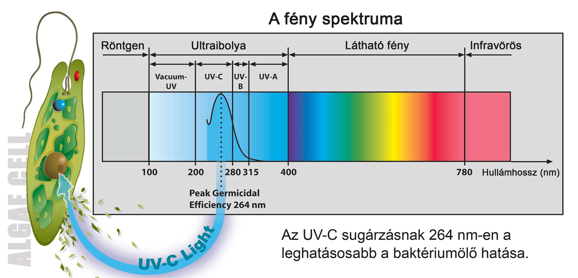 Uv fény házilag