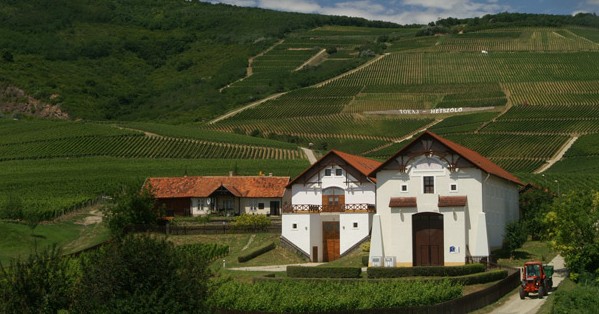 Tokaj Hétszőlő