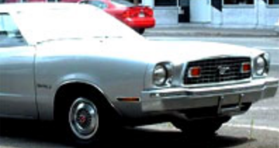 mustang