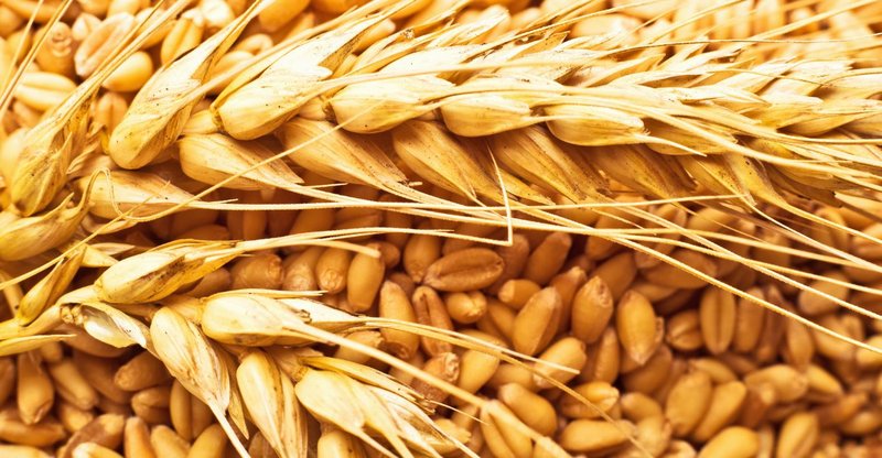 További határozott lépéseket sürgetnek a V4-ek agrárkamarái
