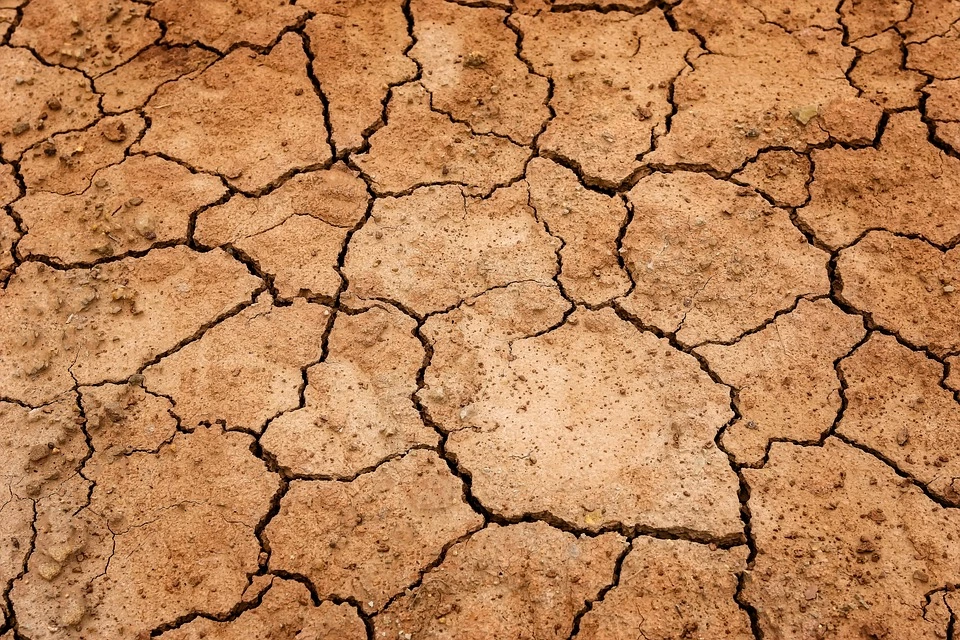 Kulcsfontosságú a felelős mezőgazdasági vízgazdálkodás az aszályos időszakban
