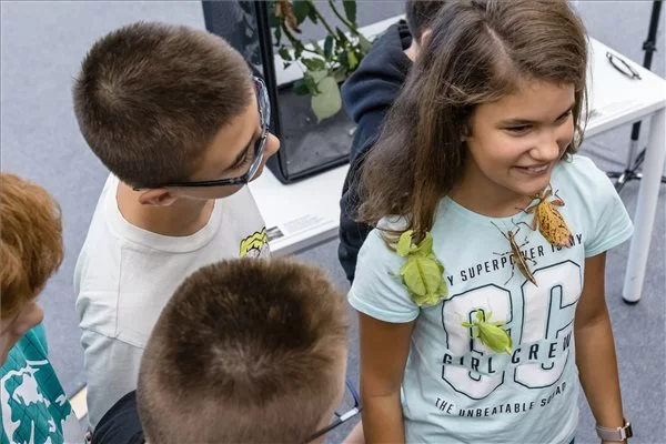 Táborokat, közösségi programokat támogat a magyar kormány Erdélyben
