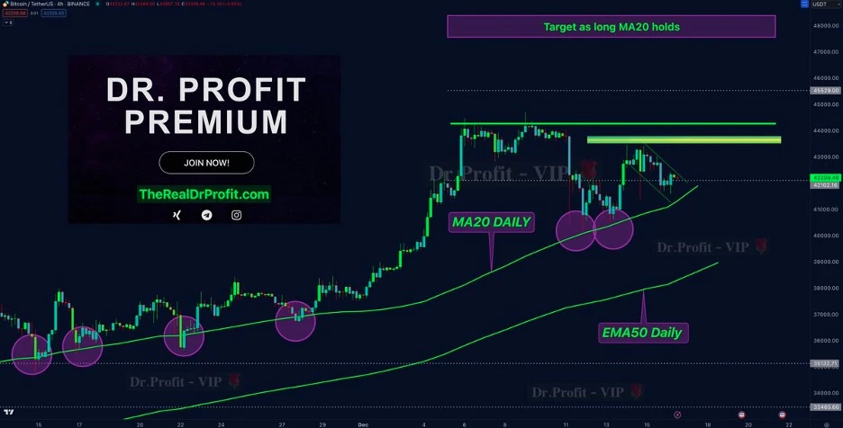 Dr. Profit prémium