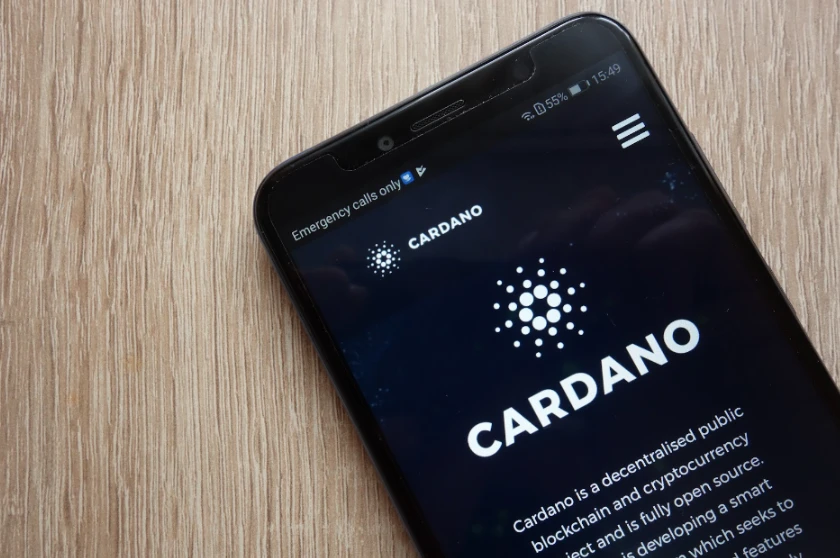 Cryptocurrency Analyst Mags Predicts Imminent Altcoin Market Cap Surge: Everlodge (ELDG), Binance (BNB), and Cardano (ADA) Set to Surge