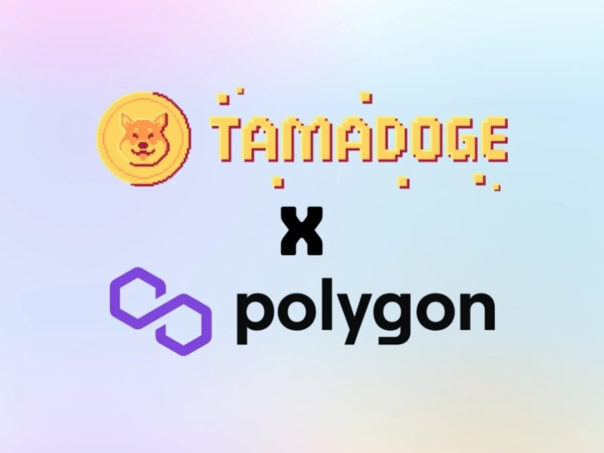 Megújul a P2E királya - Érkezik a Polygon alapú $TAMA V2