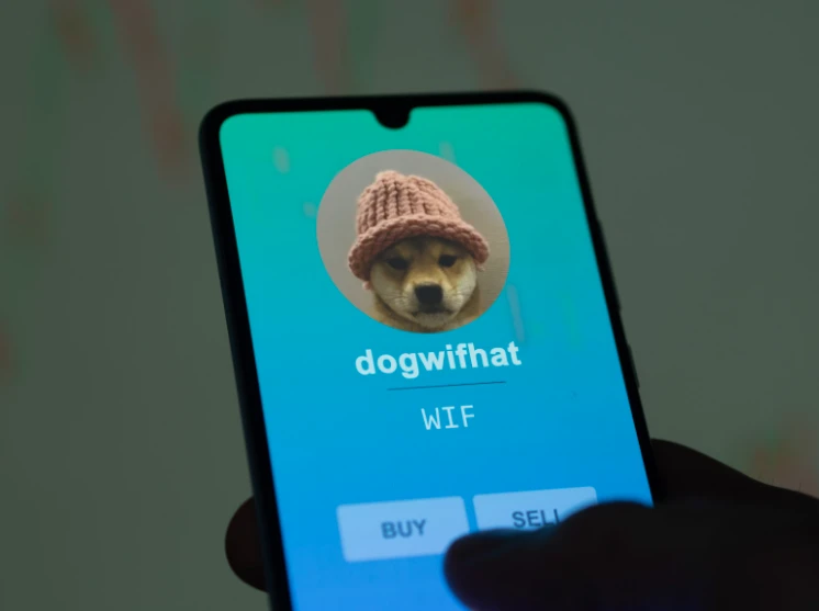 Miért veszítheti el befektetőit a Dogwifhat az új, felkapott mémcoin miatt?