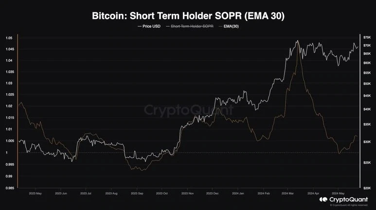 bitcoin rövid távú befektetők grafikon