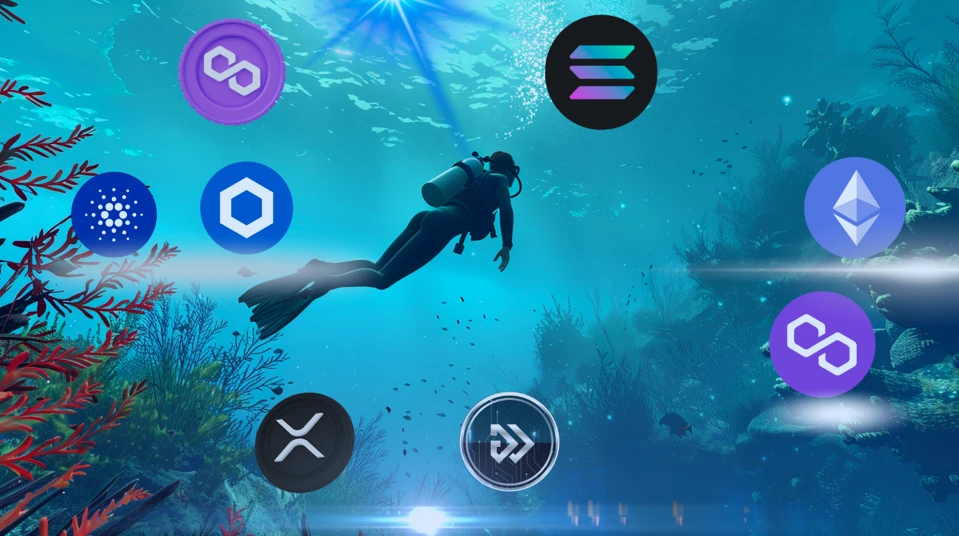 Az Algotech eladta a végső bónusz kör 30%-át, dominálva a Near Protocol és a Chainlink piacát