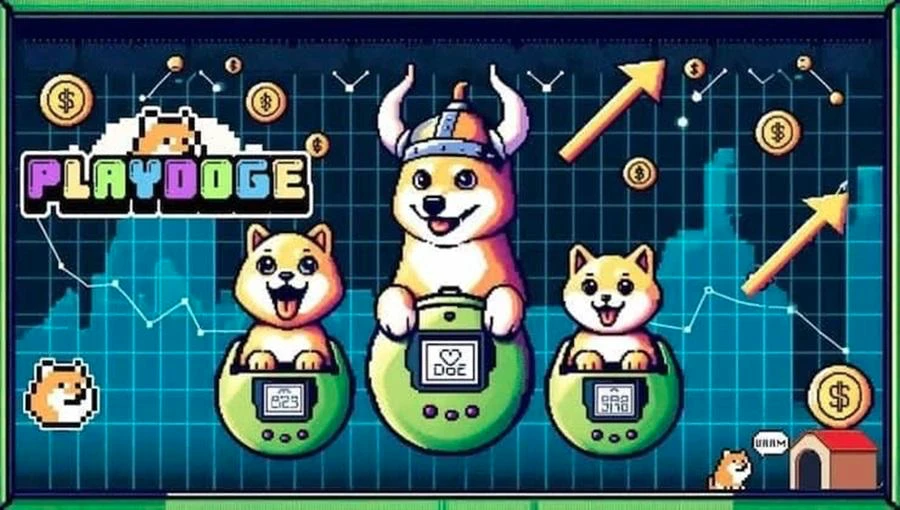 Playdoge kripto token ico