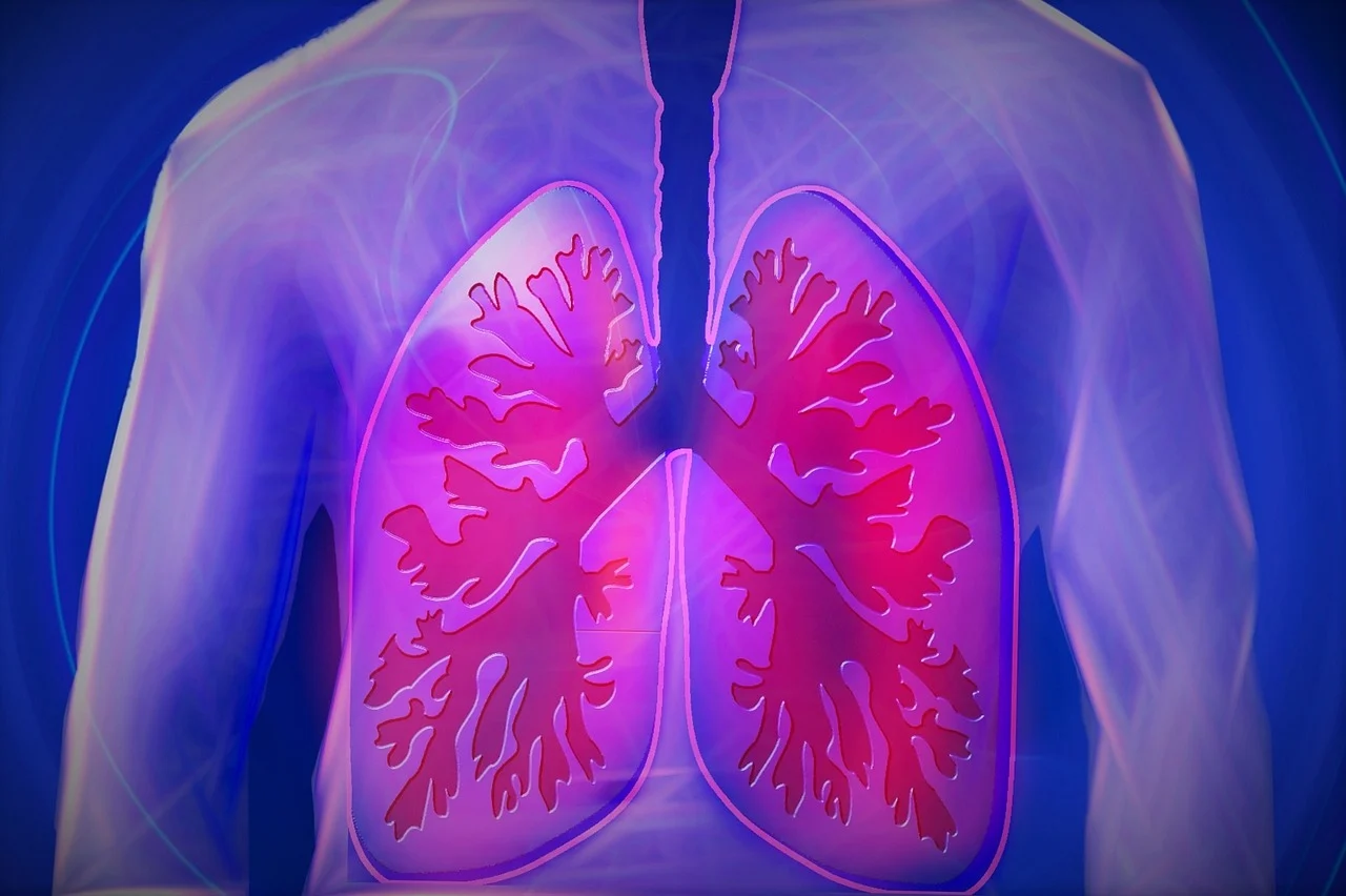 A pulmonális hipertónia (PH) a tüdő ritka betegsége: miről ismerhető fel?