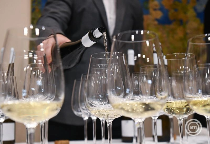 Több száz kiállító várja a vendégeket a Szegedi Borfesztiválon